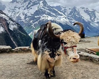 Домбай, озеро Кара-Кёль и Мусса-Ачитара