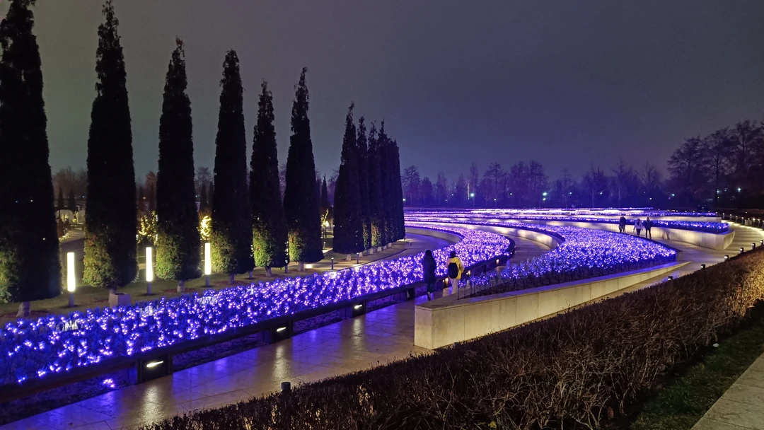 В конце декабря были на экскурсии в Парке Галицкого с экскурсоводом Юлией. Немножко не повезло с