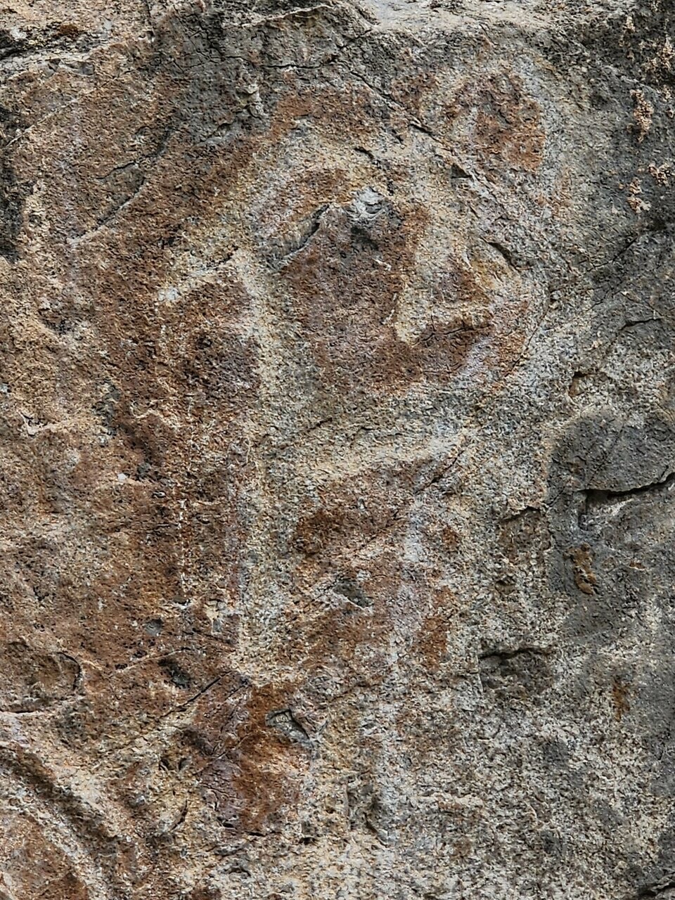 Экскурсия превзошла все ожидания! Даже несмотря на то, что я была единственным туристом, поездку не отменили,