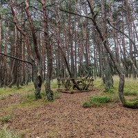 Фото отзыва 6: экскурсия "Первый раз на Куршской косе — из Зеленоградска"