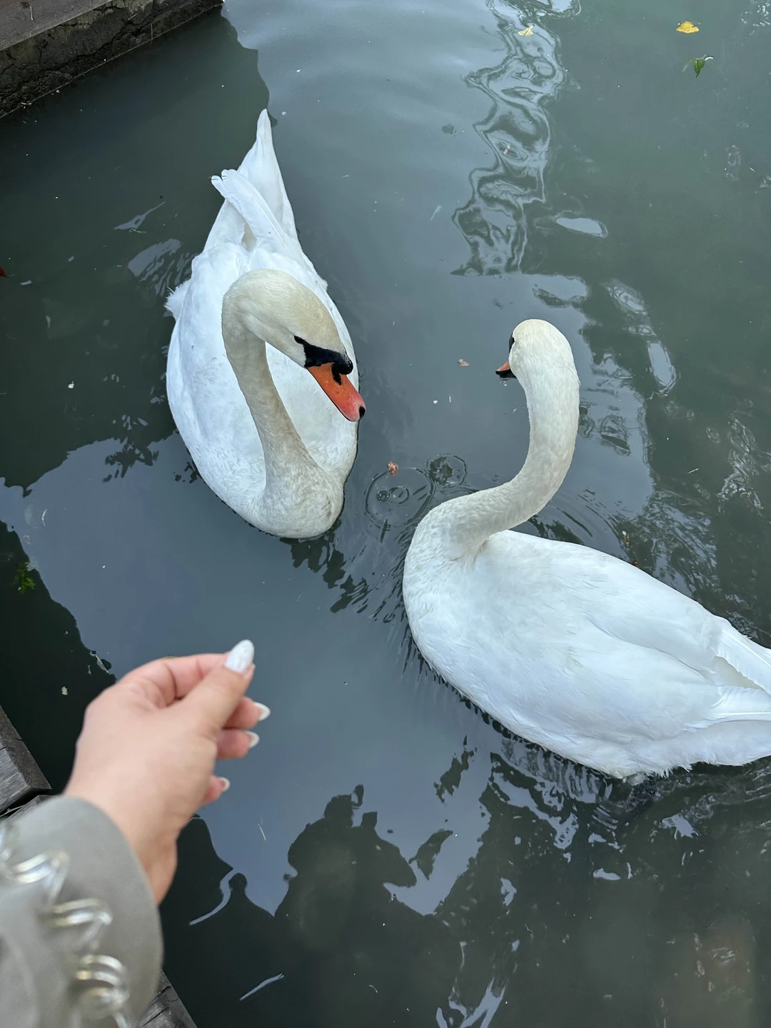 Добрый день!