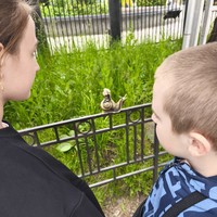 Фото отзыва 3: экскурсия "«Весёлая семейка»: квест-прогулка с поиском клада"