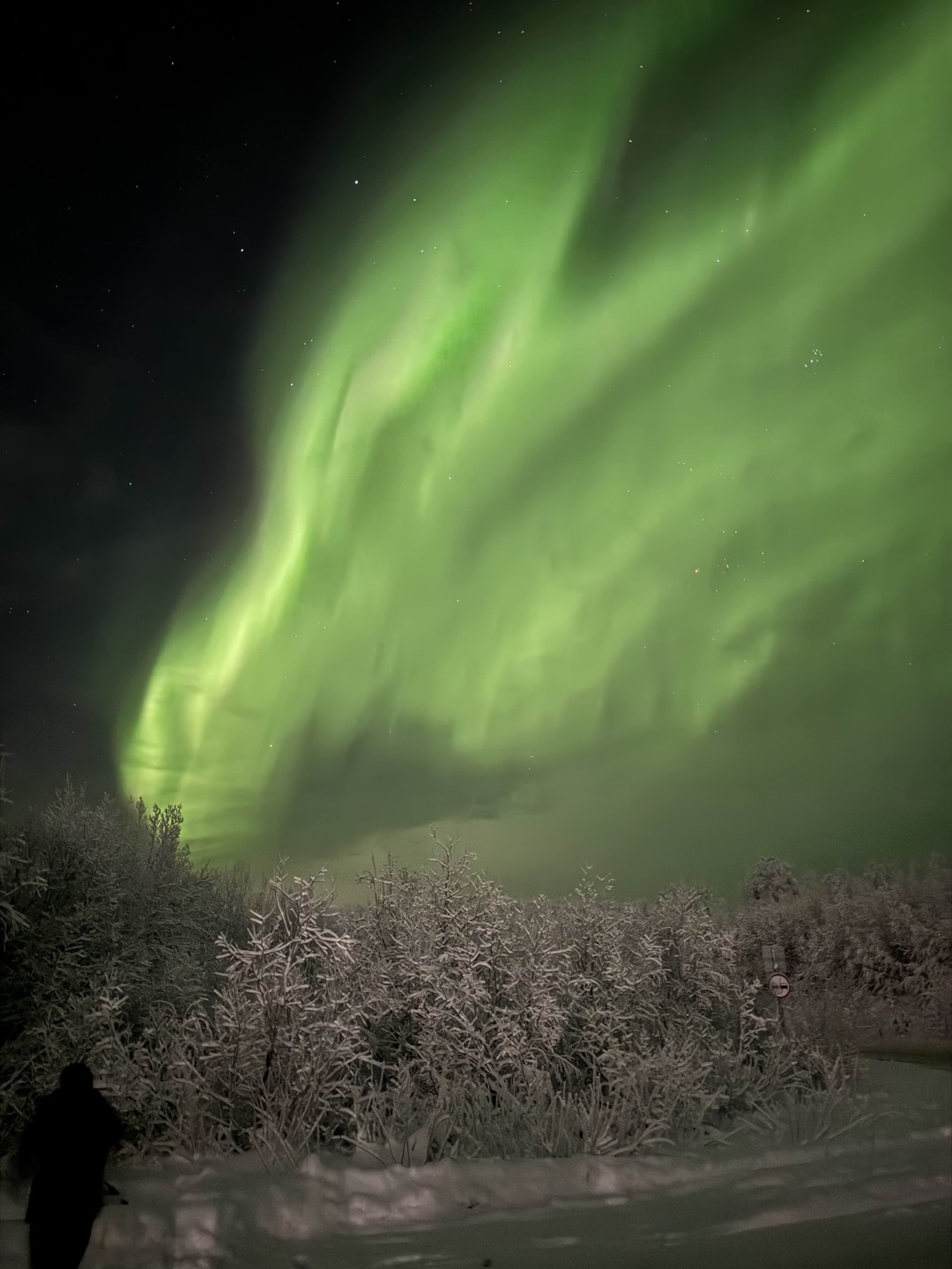 Когда мы приехали на место, было небольшое свечение, мы даже не поняли толком, что это сияние
