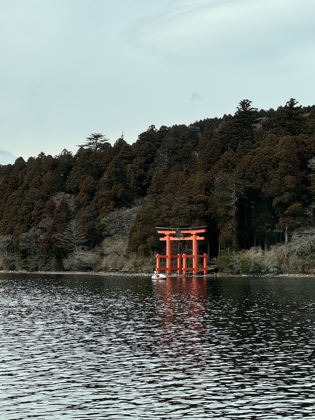 Огромная благодарность Александре за замечательное путешествие. На автомобиле от отеля мы проехали по чудесным местам Японии
