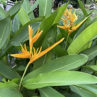 Фото отзыва 5: экскурсия "Сейшелы, которым есть чем удивить"