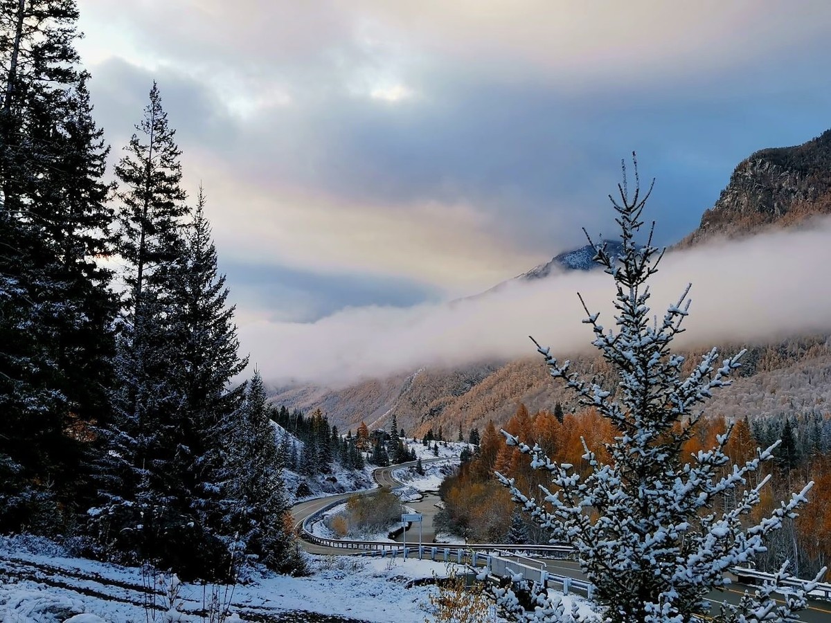 Фото День на горных курортах Алтая