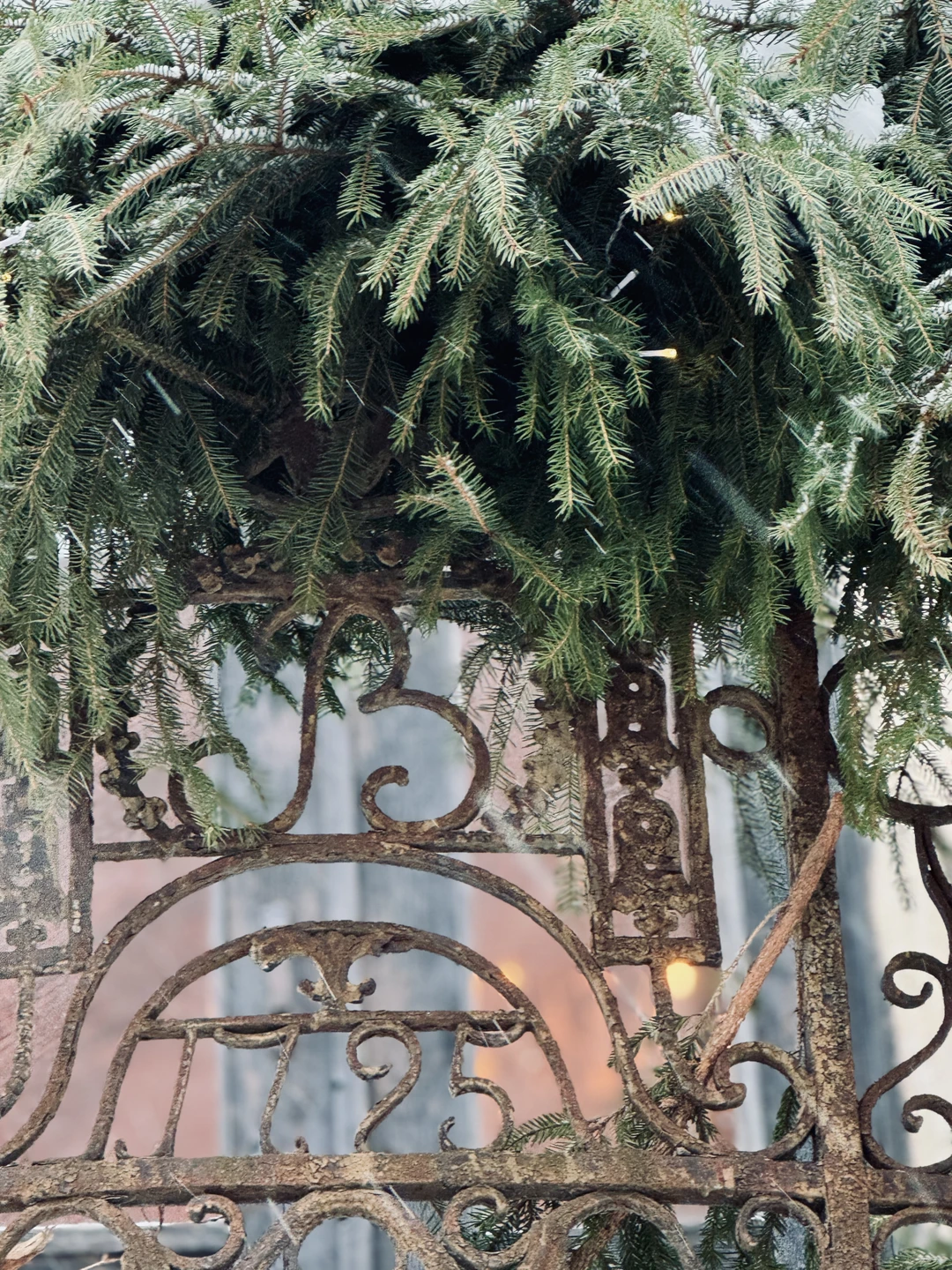 7 часов в Выборге. Вы, конечно, успеете зайти на ярмарку, попробовать коричный крендель и ароматный глёг