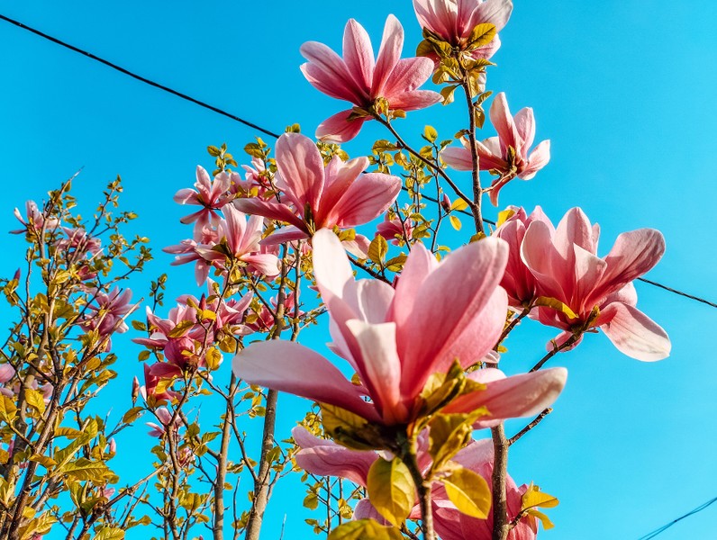 Царство моря, дюн и птичьих голосов: экскурсия на Куршскую косу