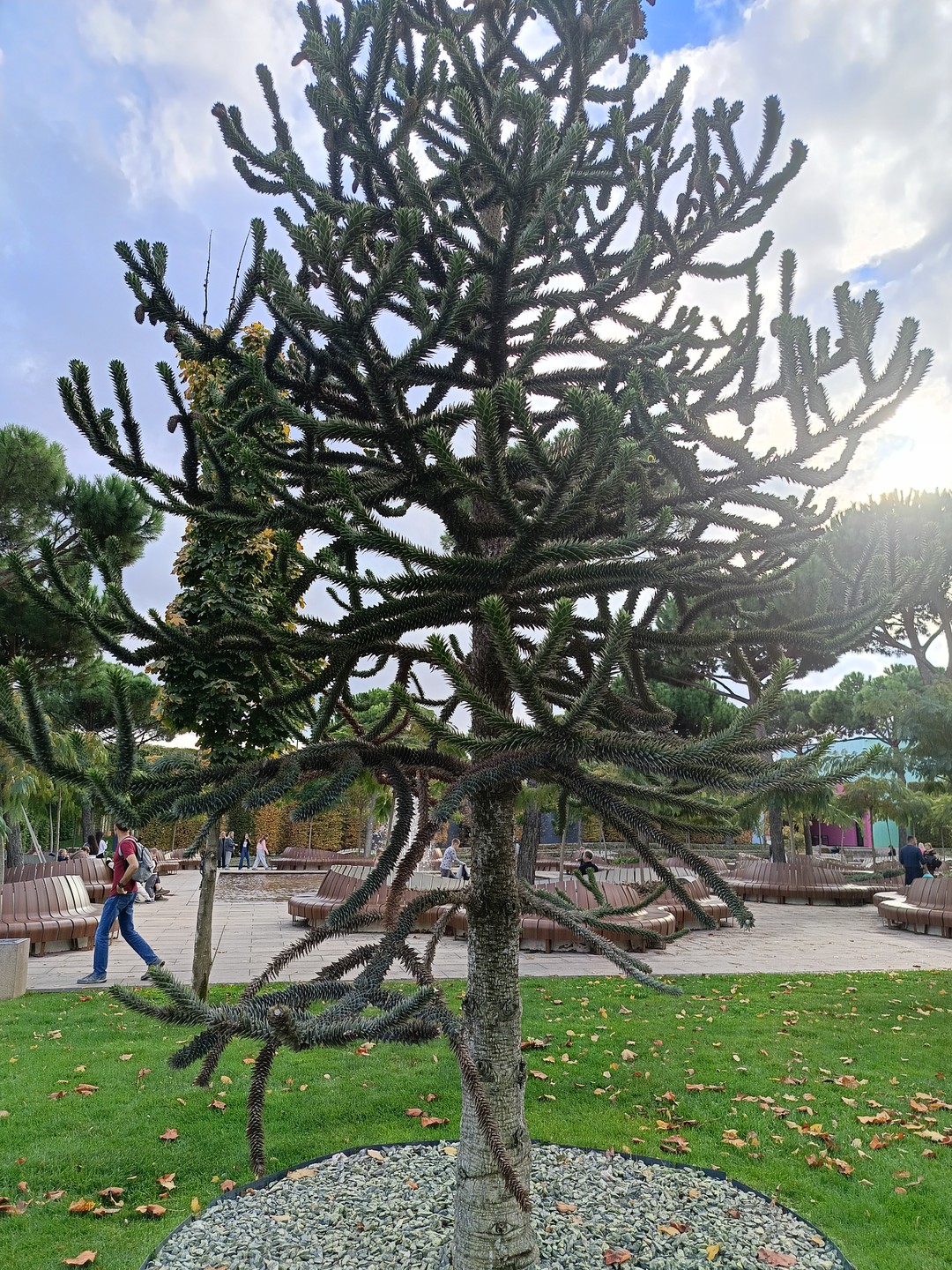 Светлана очень интересный рассказчик. Старается из многочисленных источников узнать и рассказать интересные факты. Экскурсия построена очень