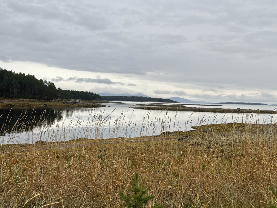 Замечательная экскурсия с профессионалом👍