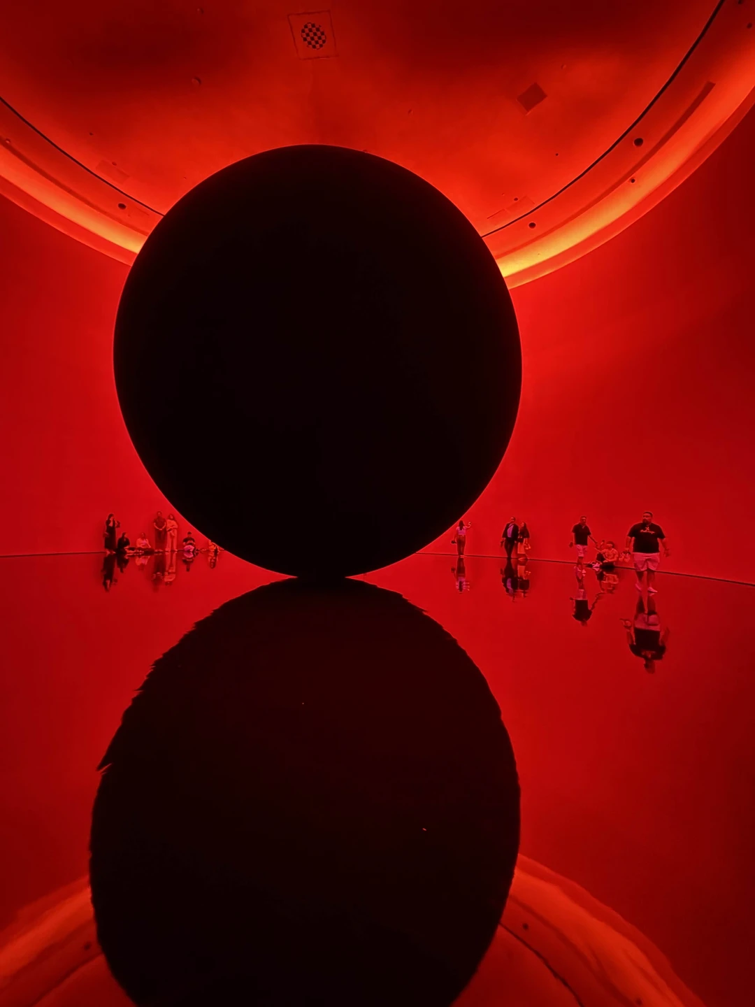 Гид Нигора показала Абу Даби во всей красе!