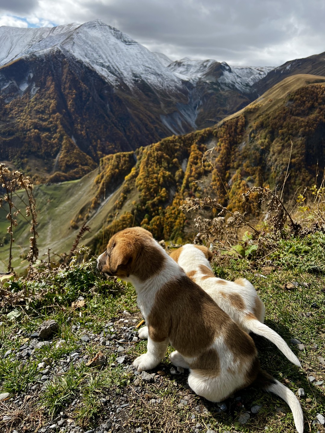 В Казбеги за фотошедеврами (Диана)