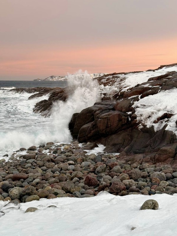 Виды Териберка: ценные дары Баренцева моря