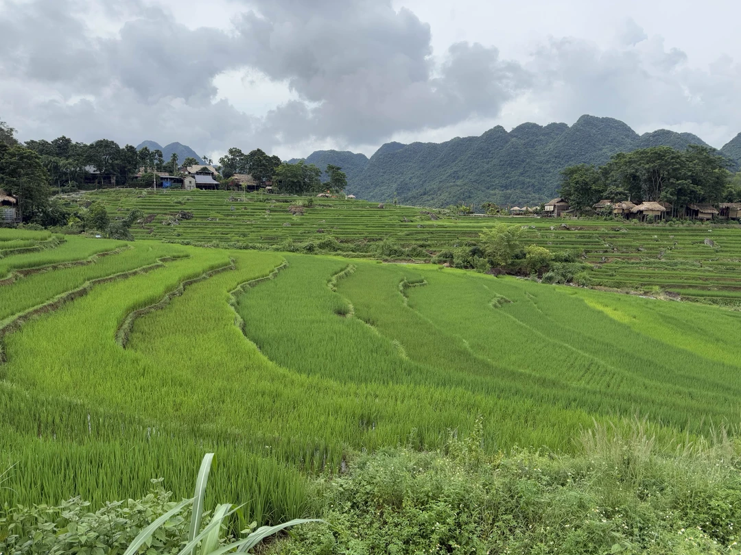 Мы добавили в тур еще один день и посмотрели за 2,5 дня Нинь Бинь, Пулун и Май Чау