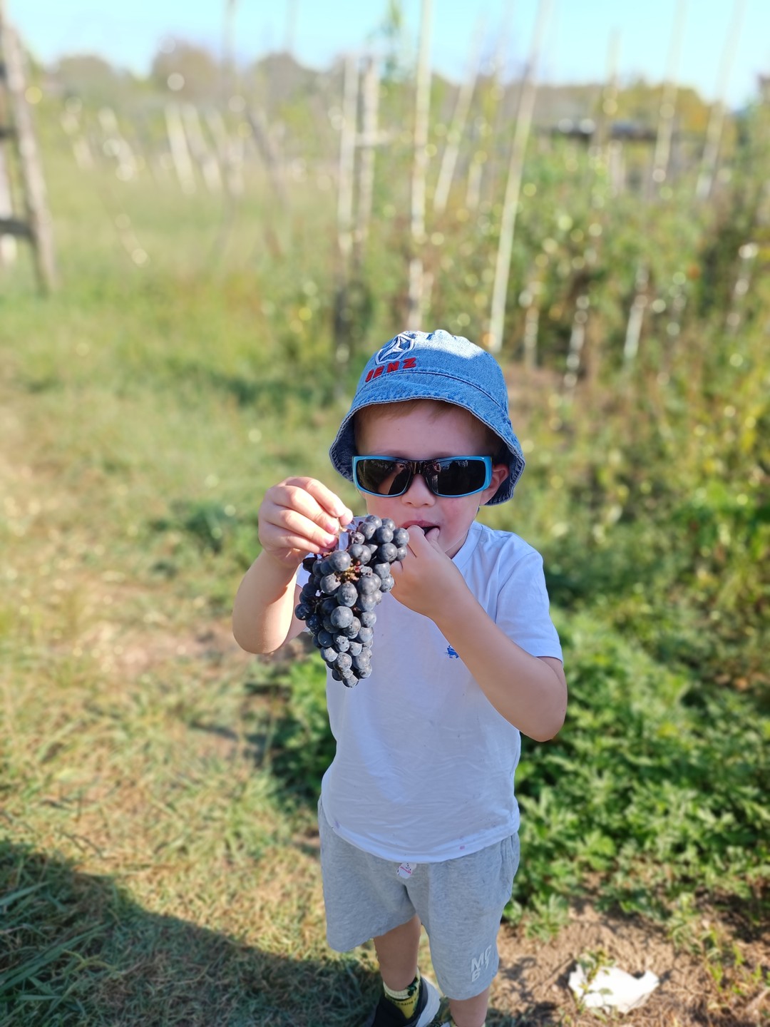 Всё понравилось! Гидом был Рамаз! Не скажу, что он профессиональный разказчик истории и легенд, но свою