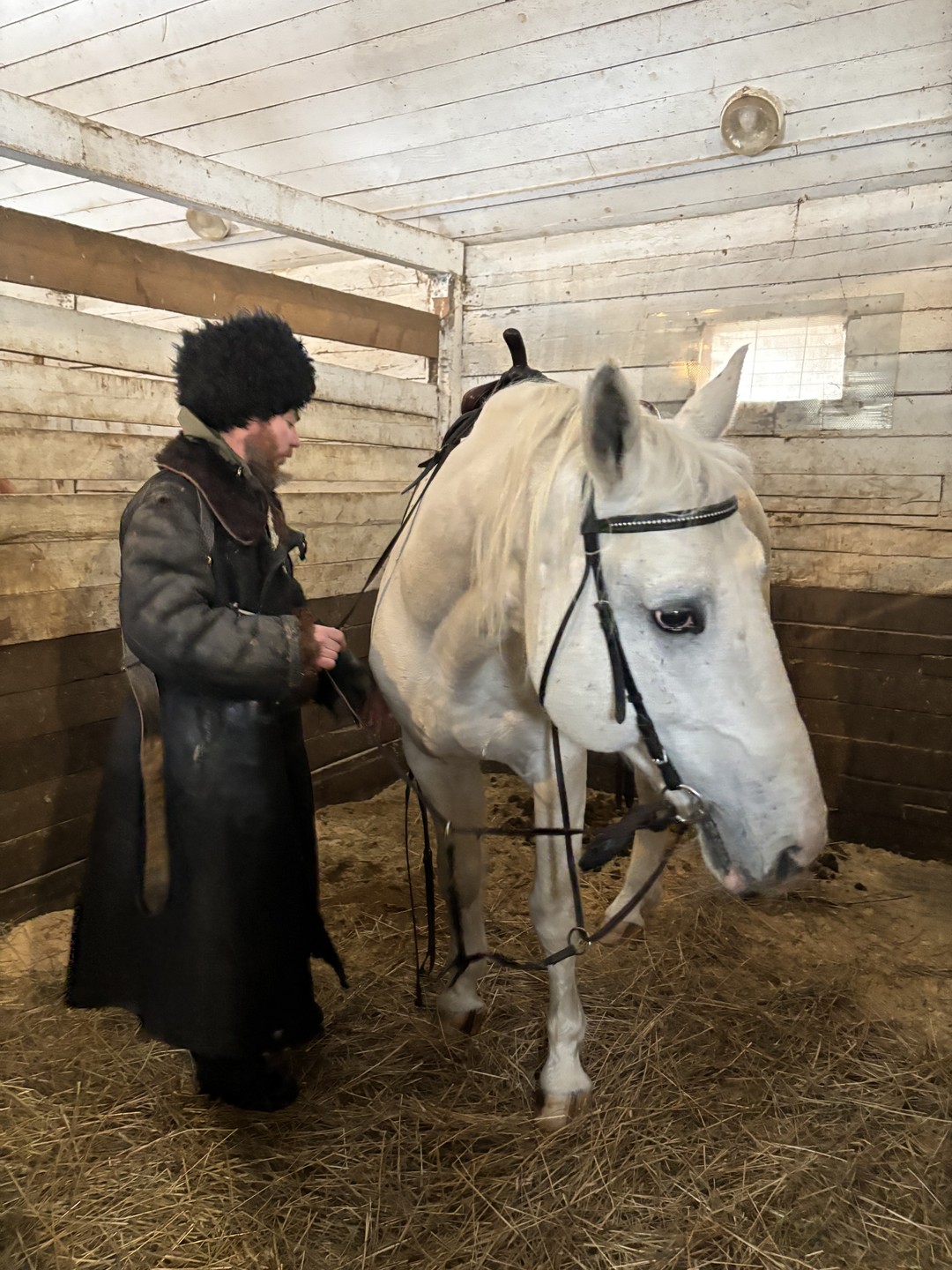 Спасибо большое за гостеприимство! Очень рады, что попали на конюшню 14 февраля и познакомились с ее