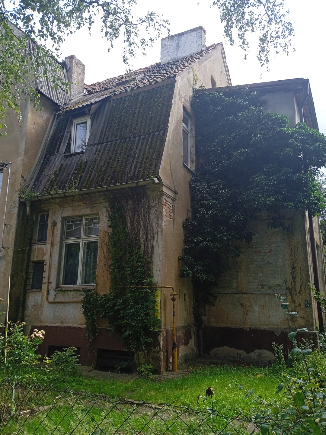 Вдохновляющий Амалиенау (Виктория)