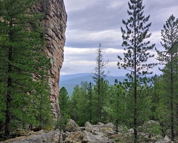 На плато к скальным столбам через кедровый лес