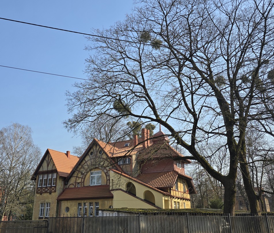 Калининград от истоков до наших дней (Татьяна)