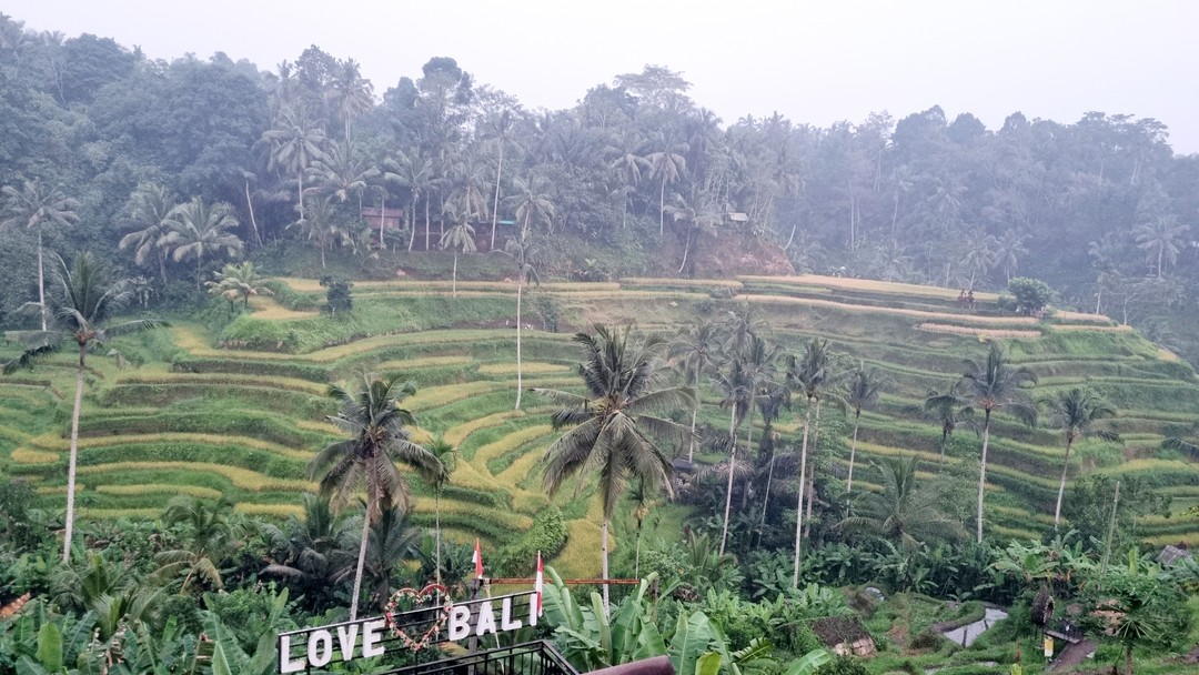 Отличный гид на Бали!