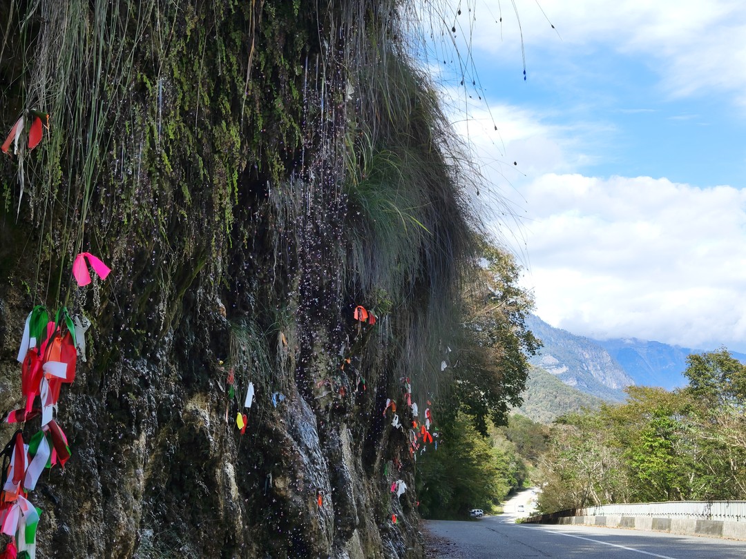 Шота просто 🔥, а не гид. Ненапряжный, эрудированный и оооочень комфортный в плане общения. 100 из