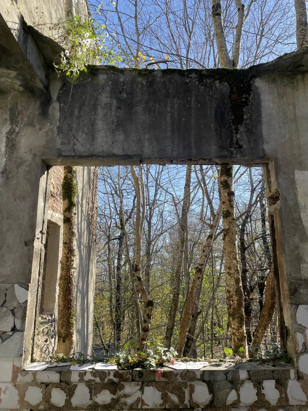 Замечательная экскурсия - интересный рассказ и приятный маршрут. Познавательно, живописно и нестандартно. Однозначно рекомендуем!