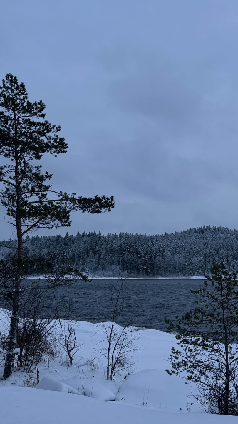 Это было прекрасно!