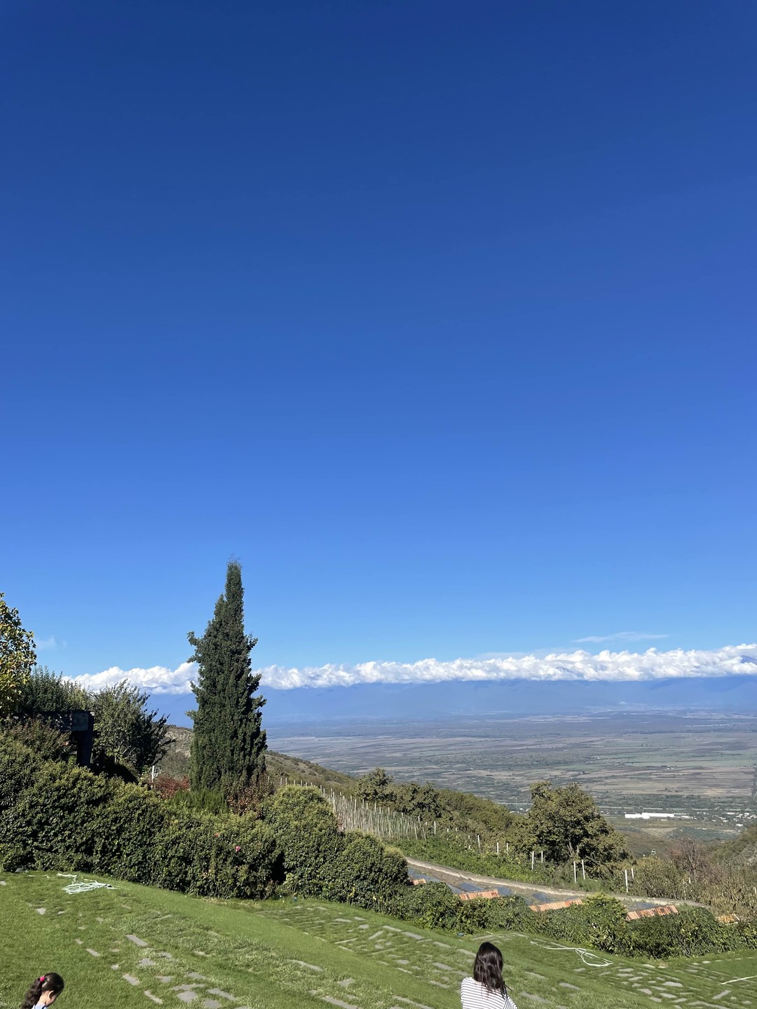 Экскурсия замечательная. Всем рекомендую. Отличный гид по Тбилиси и Боржоми Бачо, ему отдельное спасибо. В Батуми