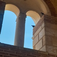 Фото отзыва 3: экскурсия "Колыбель Болгарии в окрестностях Варны и Бургаса (из Солнечного Берега)"
