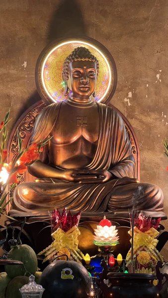 Нячанг: самое красивое и интересное (Юлия)