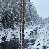 Фото отзыва 1: экскурсия "Ваш идеальный день в Карелии"