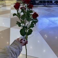 Фото отзыва 4: экскурсия "Трансфер «Аэропорт — Баку» или обратно с&nbsp;гидом"