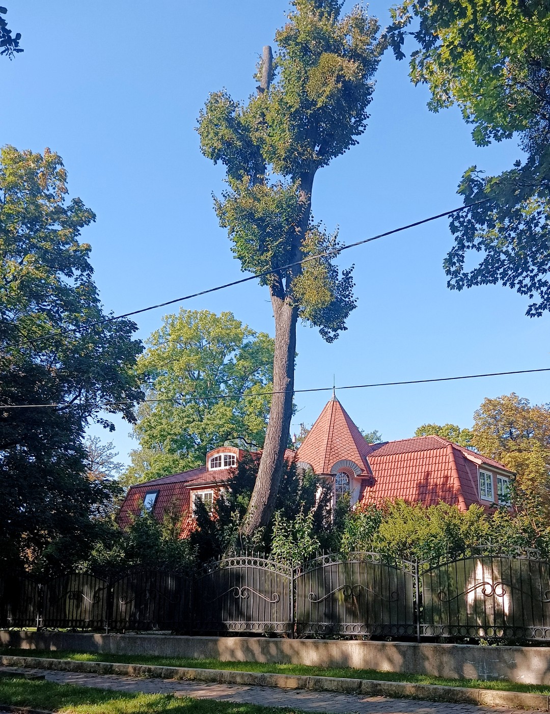 Фотопрогулка по атмосферному Амалиенау (Татьяна)
