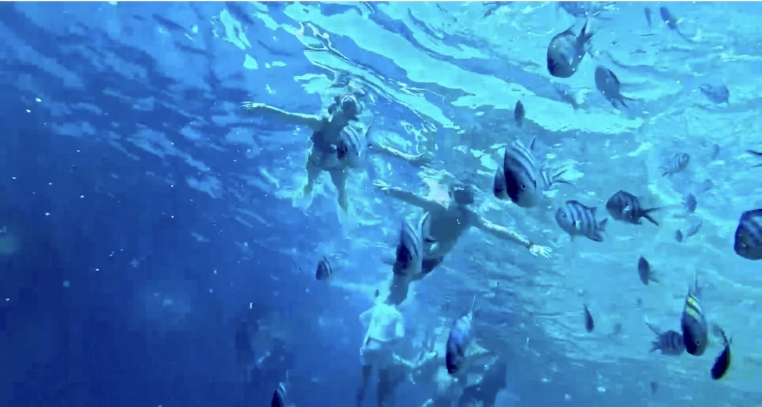 Это просто потрясающая экскурсия! Словами невозможно описать весь кайф который мы почувствовали!!! Мы не просто увидели