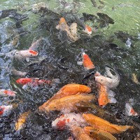 Фото отзыва 5: экскурсия "Бали, который вы ждёте!"