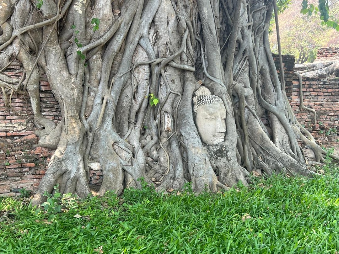 Из Бангкока в Аюттайю - древнюю столицу Сиама (Татьяна)
