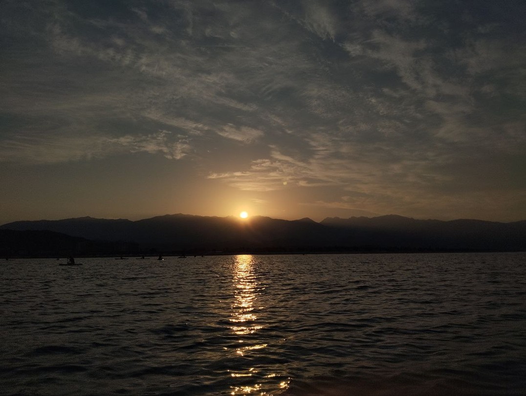 Приехала в Сочи с 3 подростками, решили поплавать на сапах - причем в необычном формате, встретить