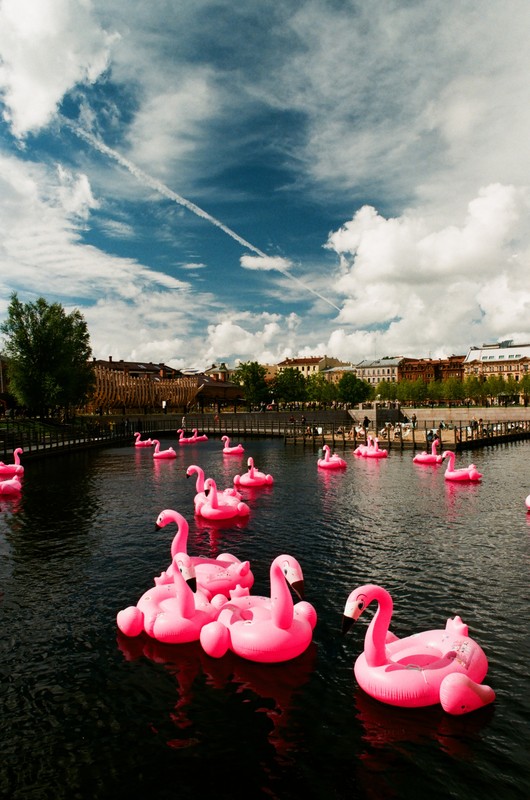 Новая Голландия: история, мифы, скрытые детали