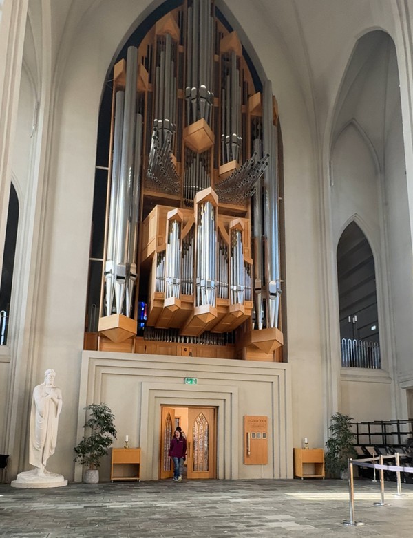 Автопешеходная экскурсия по Рейкьявику с поездкой к резиденции президента