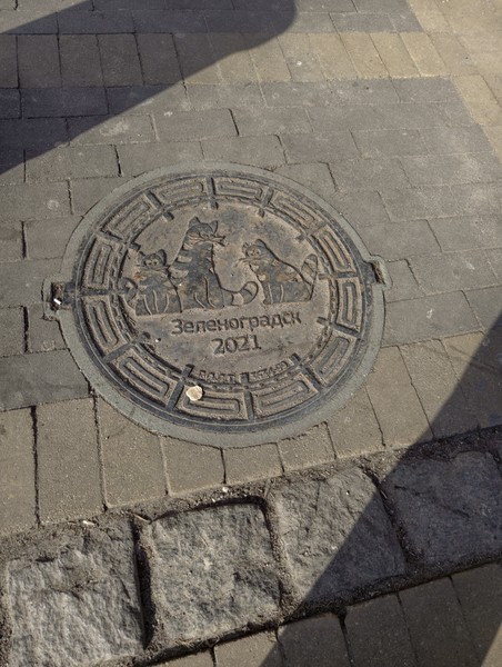 Утренняя Куршская коса, Зеленоградск и замок Нессельбек на автобусе (Екатерина)