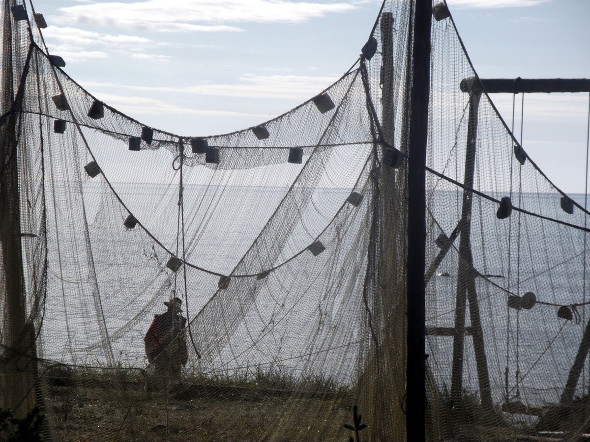 Два дня на Терском берегу Белого моря в мини-группе (6/9)