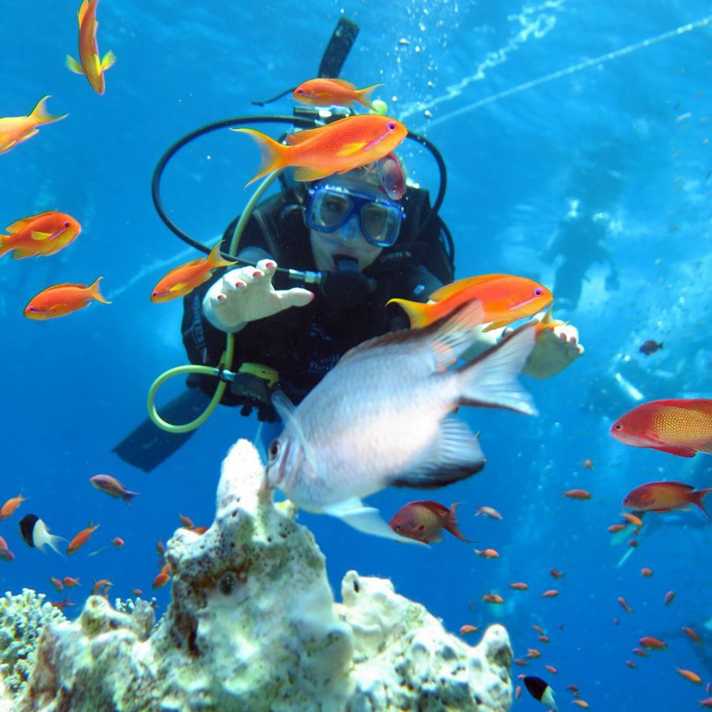 На яхте — к Белому острову в национальном парке Рас-Мохаммед (7/8)