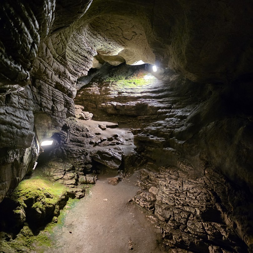 Отличная работа гида и продуманная экскурсия