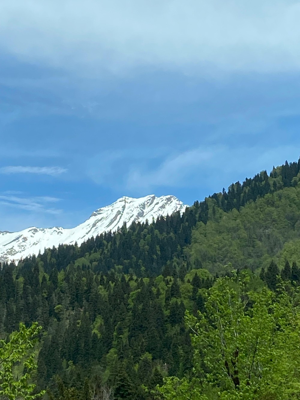 Гагра и озеро Рица: поездка из Сочи (11/16)