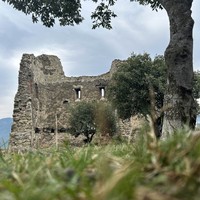 Фото отзыва 2: экскурсия "Сакральная Мцхета и легендарный Боржоми"