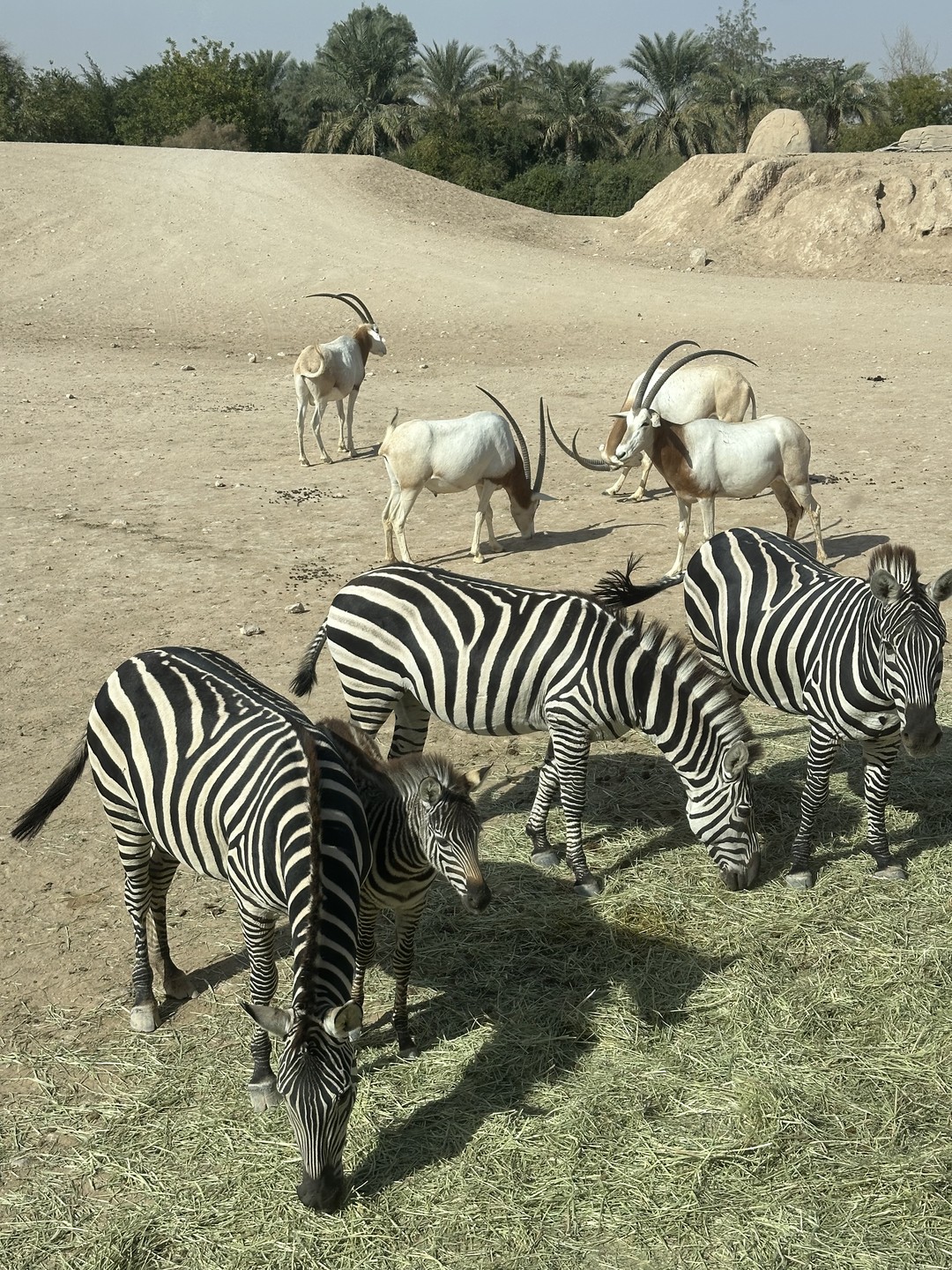 Отличное путешествие для тех, кому приелись мегаполисы