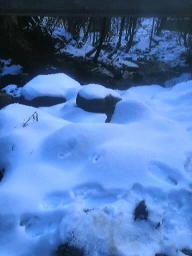 Первозданные виды Абхазии (Юлия)