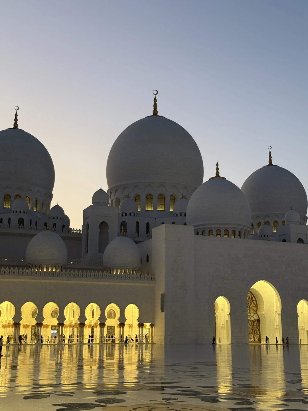 Отличная экскурсия в Абу-Даби! Огромное спасибо гиду Умару за его профессионализм и тактичность. Он безупречно организовал