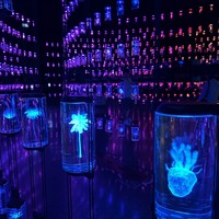 Фото отзыва 3: экскурсия "Билеты в Музей будущего в Дубае"