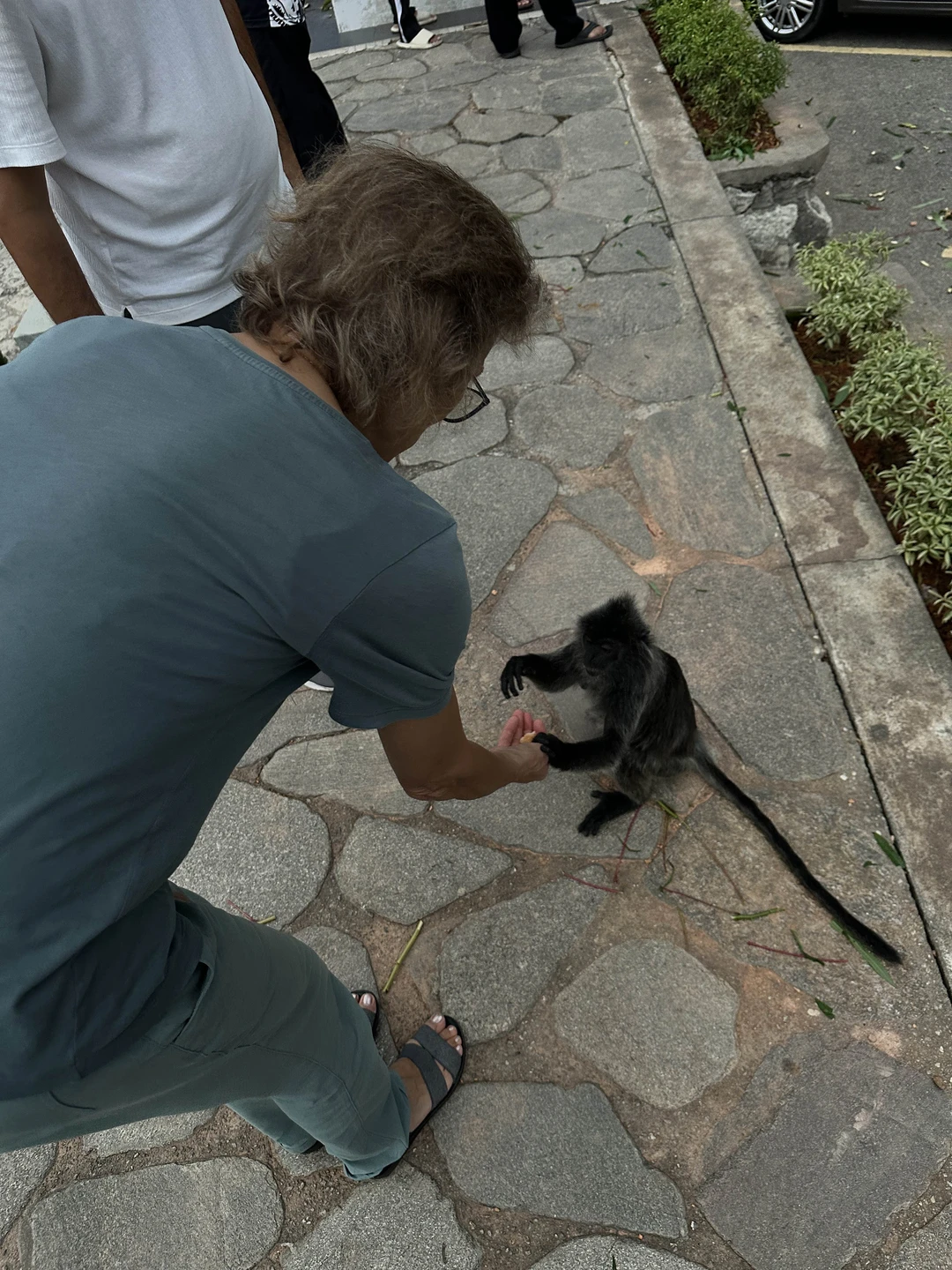 Очень понравился гид, рекомендованный Алевтиной по имени Файзулла. Очень эрудированный, заинтересованный и отзывчивый человек. Провез на